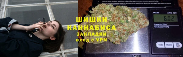 прущие грибы Бородино