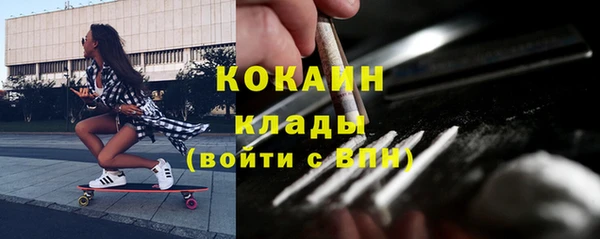 прущие грибы Бородино