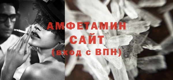 прущие грибы Бородино