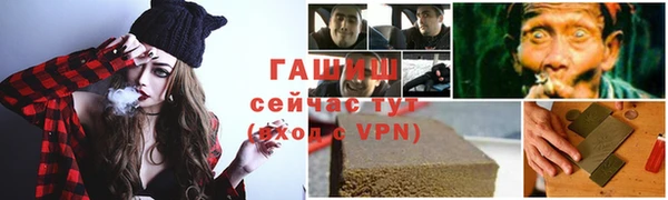 прущие грибы Бородино