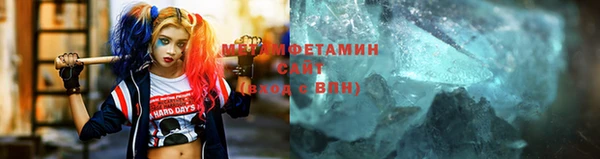 прущие грибы Бородино