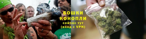 шишки Богородск