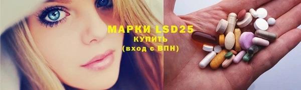 прущие грибы Бородино