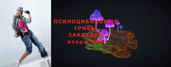 прущие грибы Бородино