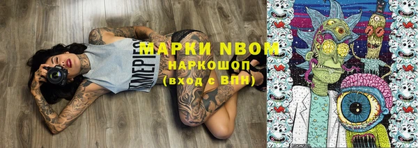 прущие грибы Бородино