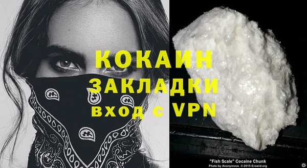 прущие грибы Бородино
