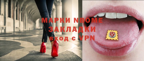 прущие грибы Бородино