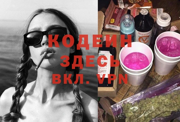 прущие грибы Бородино