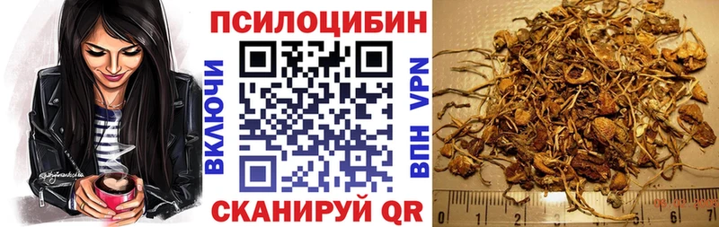 Галлюциногенные грибы Cubensis  мориарти какой сайт  Городовиковск 